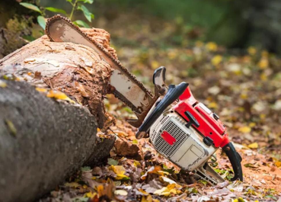 Images A&M Tree Service LLC