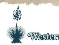 Website Screenshot Western Bank