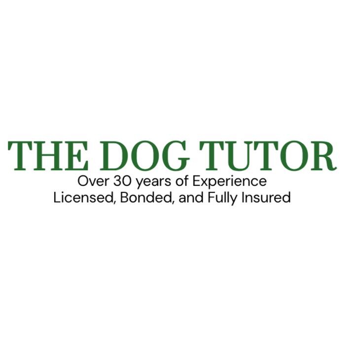 Images The Dog Tutor