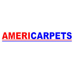 Wasatch Front Mobile Carpets Logo