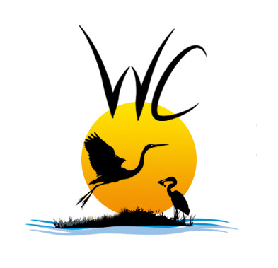Wesley Chapel Chiropractic Logo