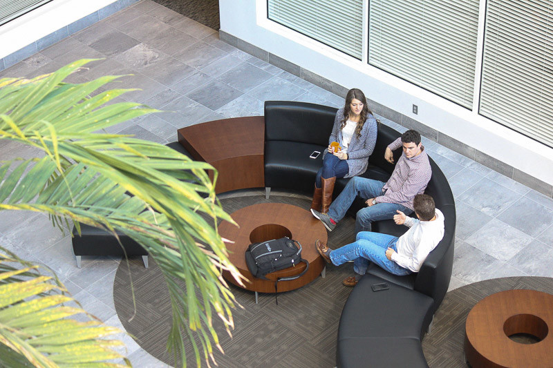 Images Go Local Interactive