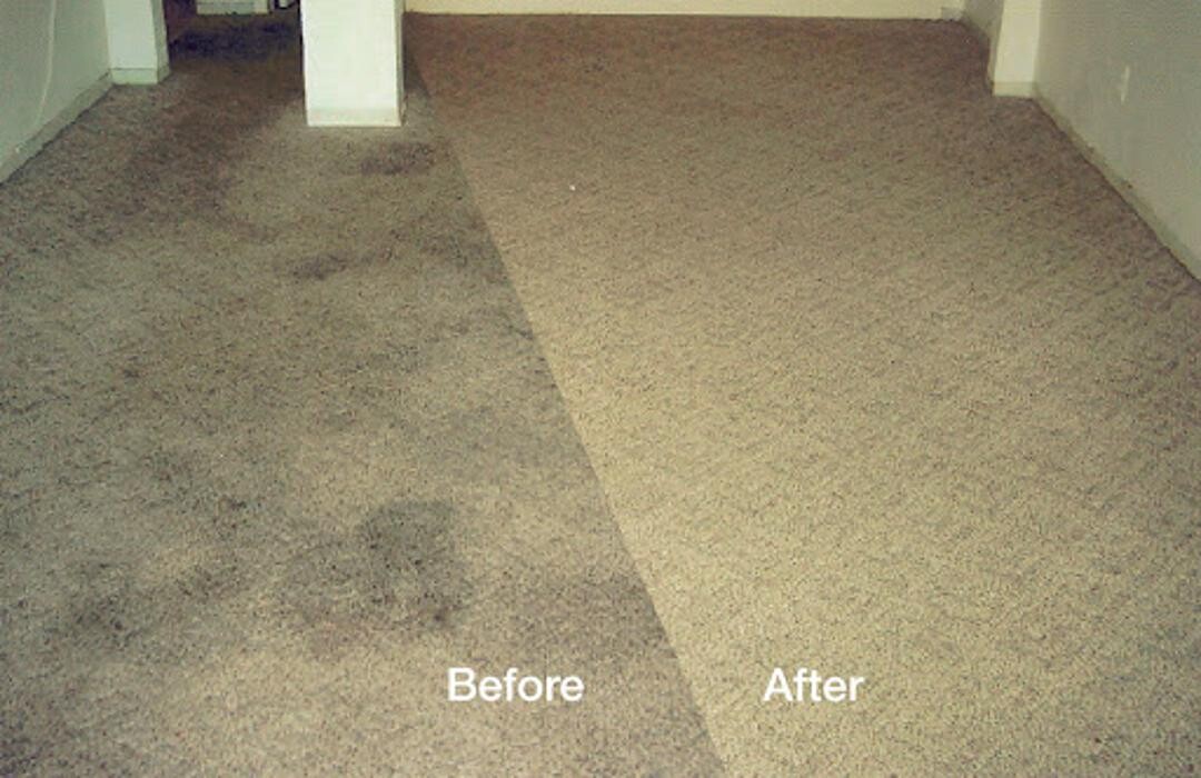 Images Heaven's Best Carpet Cleaning Brandon FL