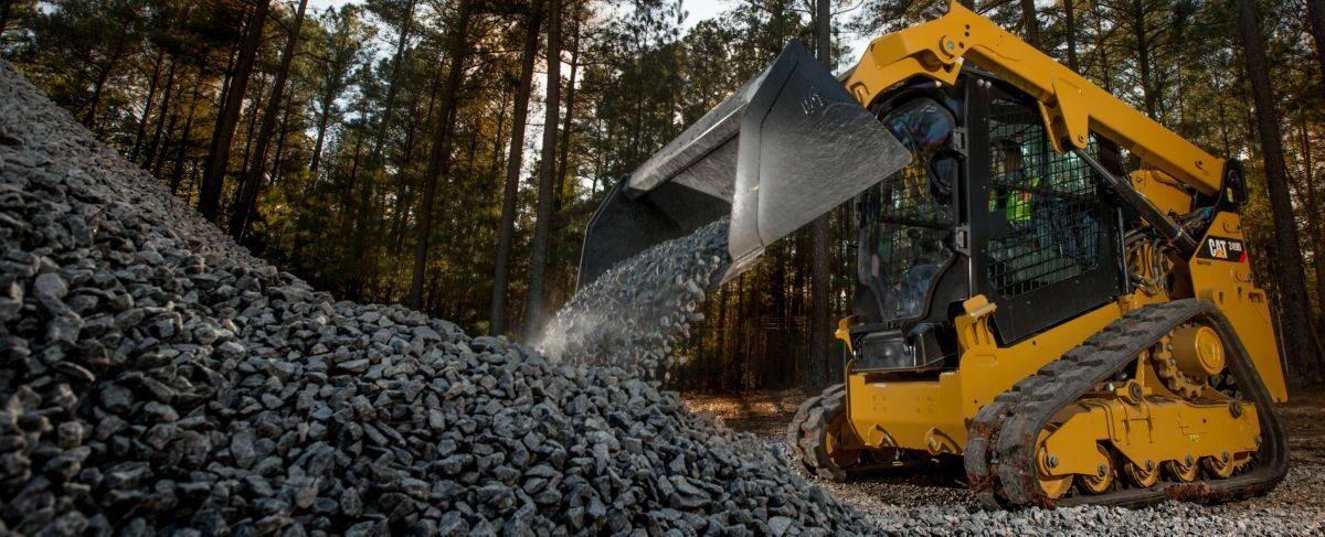 Images Louisiana Cat - Hammond