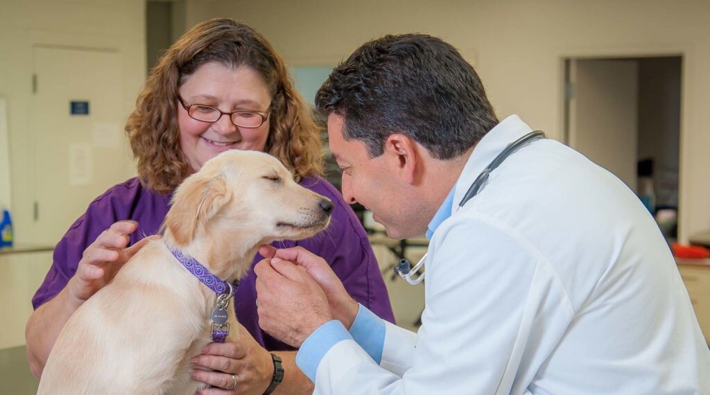 Images Oak Heart Veterinary Hospital at Longview