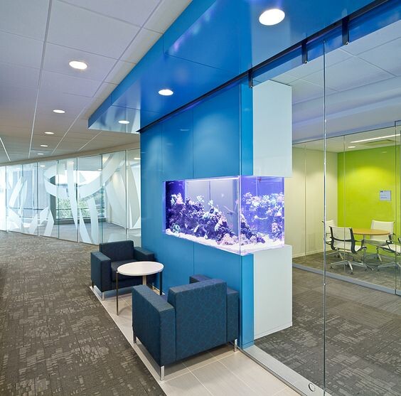 Images NeoSystems LLC