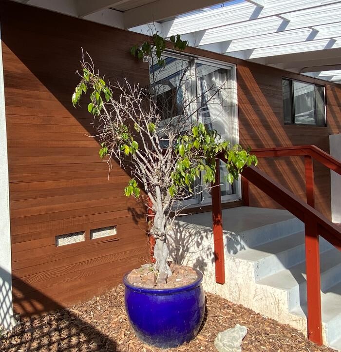 Images CertaPro Painters of East San Diego/Poway