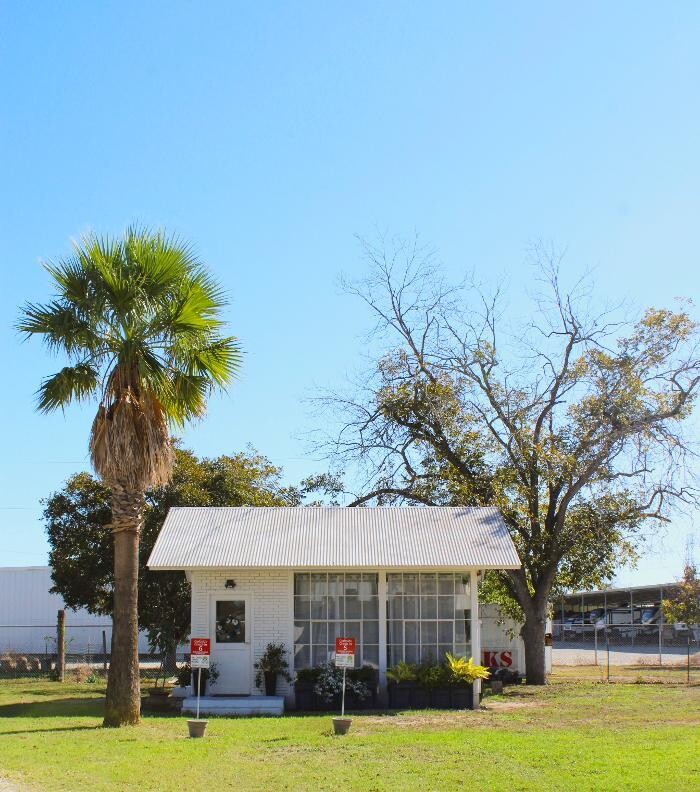 Images Pet's Choice Animal Hospital