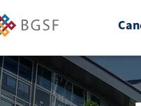 Website Screenshot BGSF