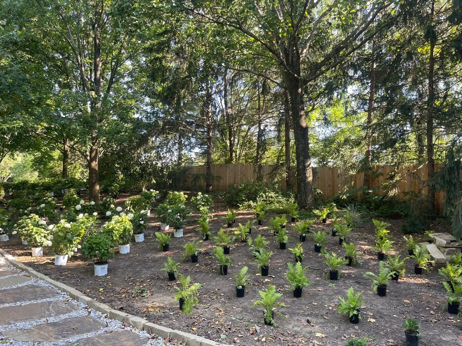 Images Outdoor Spaces
