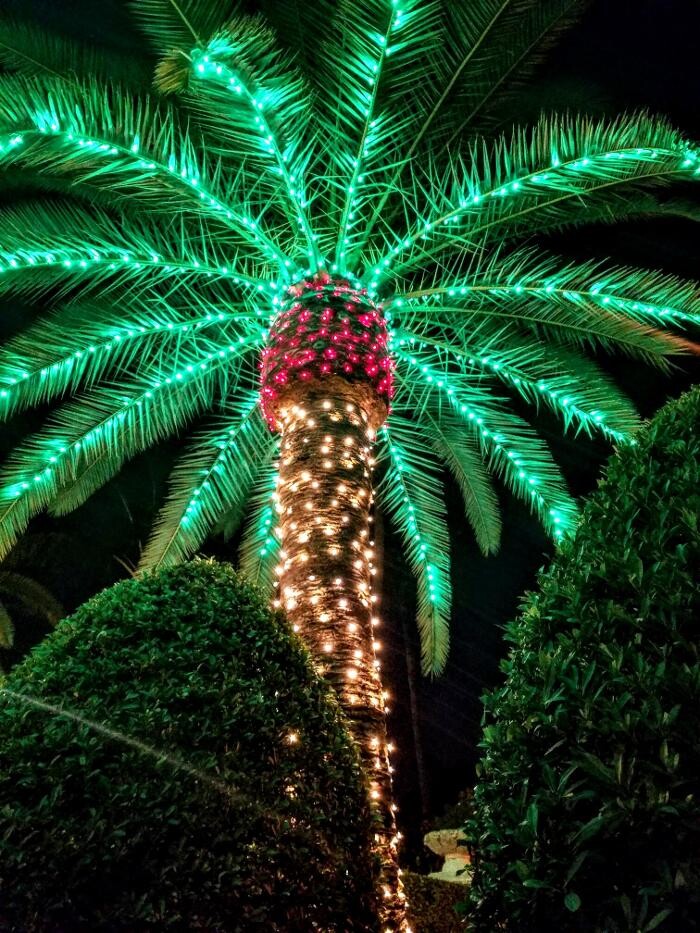 Images Artistic Elves