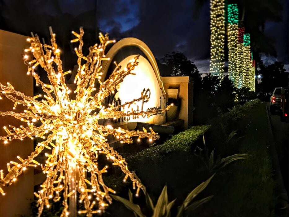 Images Artistic Elves