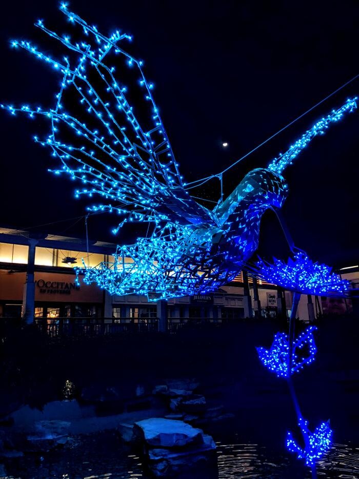 Images Artistic Elves