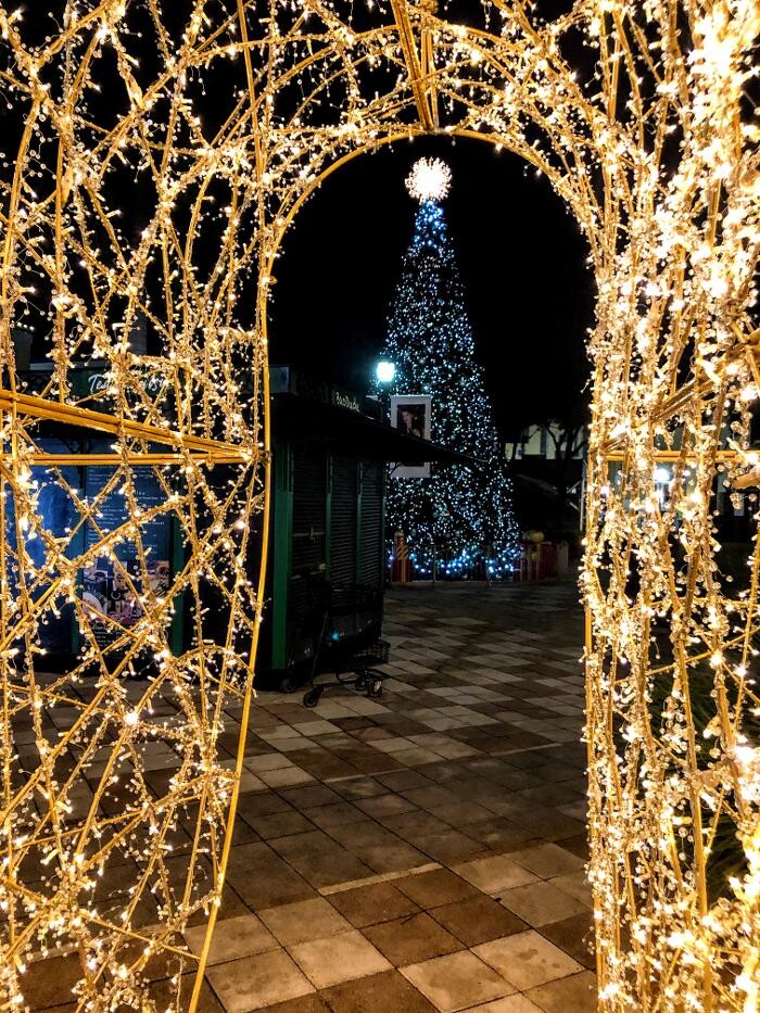 Images Artistic Elves