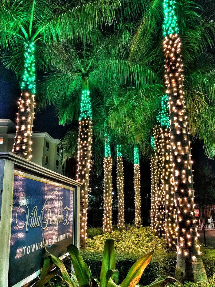 Images Artistic Elves