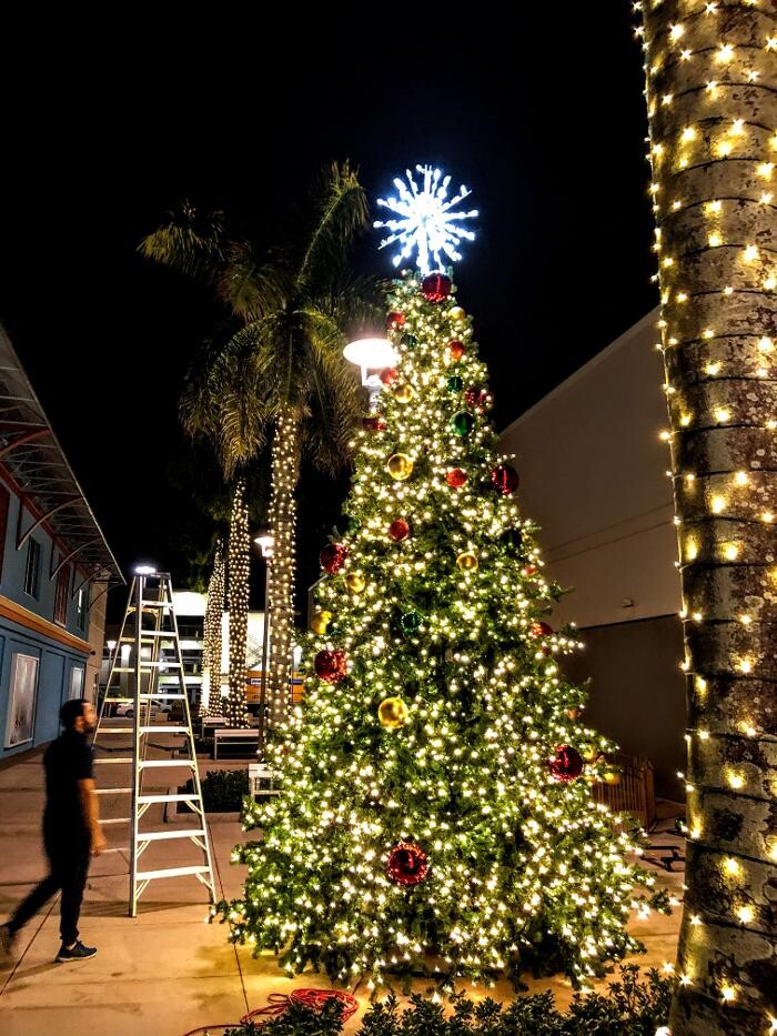 Images Artistic Elves