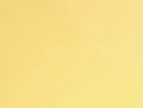 Website Screenshot Cash For Junk Cars JayMac