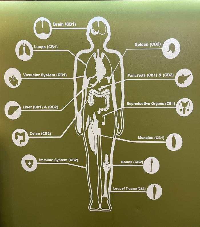 Images The Carolina HEMP Cabinet