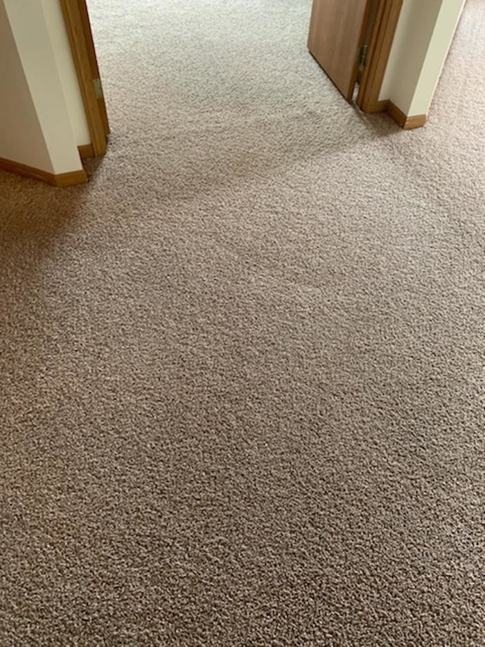 Images Brighter Carpet Cleaning