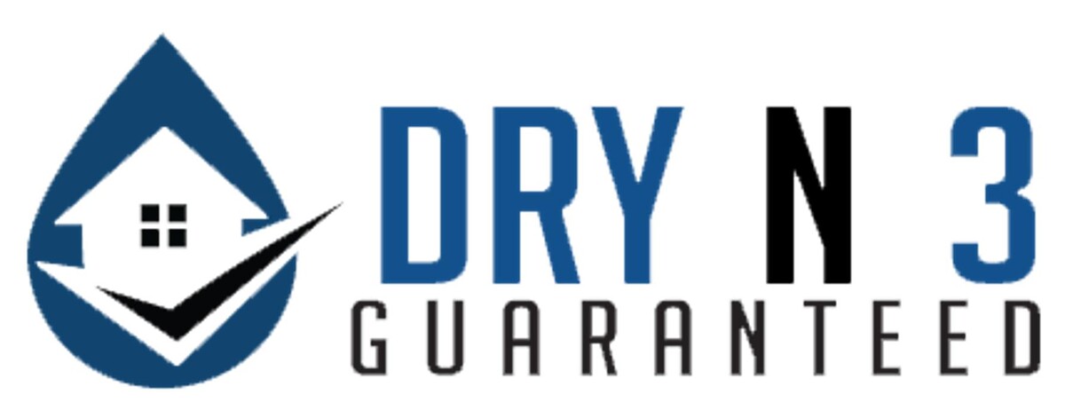 Dry N 3 Guaranteed Logo