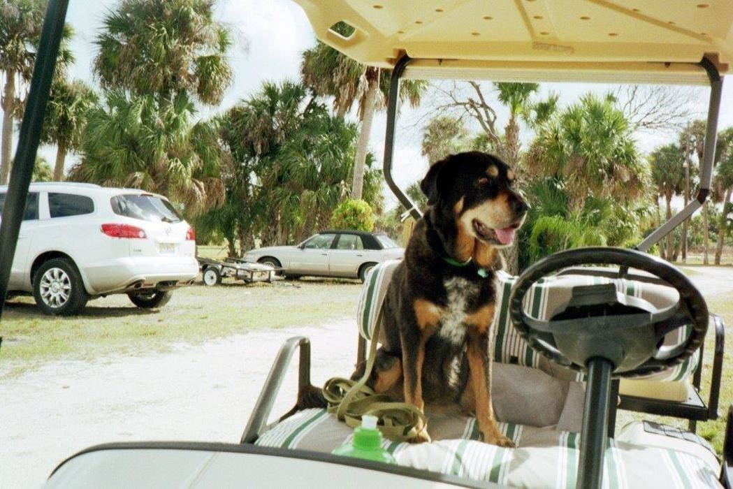 Images Sabin Marketing and Promotions