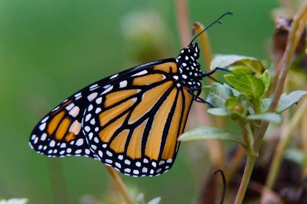 Images Sabin Marketing and Promotions