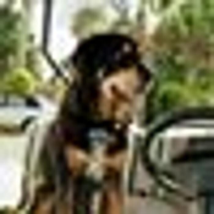 Images Sabin Marketing and Promotions