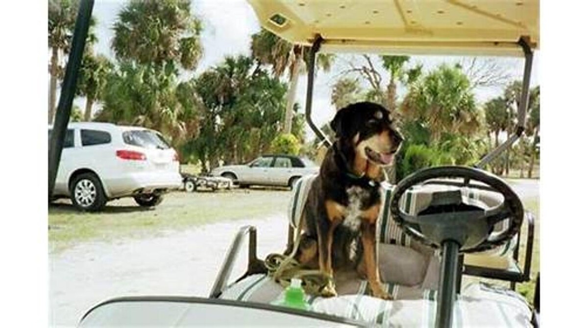 Images Sabin Marketing and Promotions