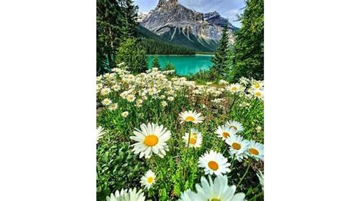 Images Sabin Marketing and Promotions