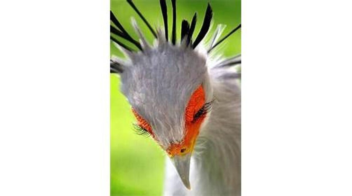 Images Sabin Marketing and Promotions