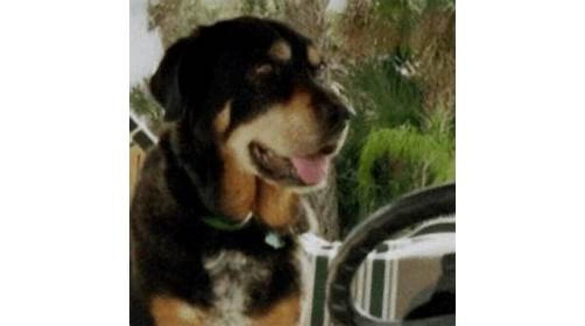 Images Sabin Marketing and Promotions