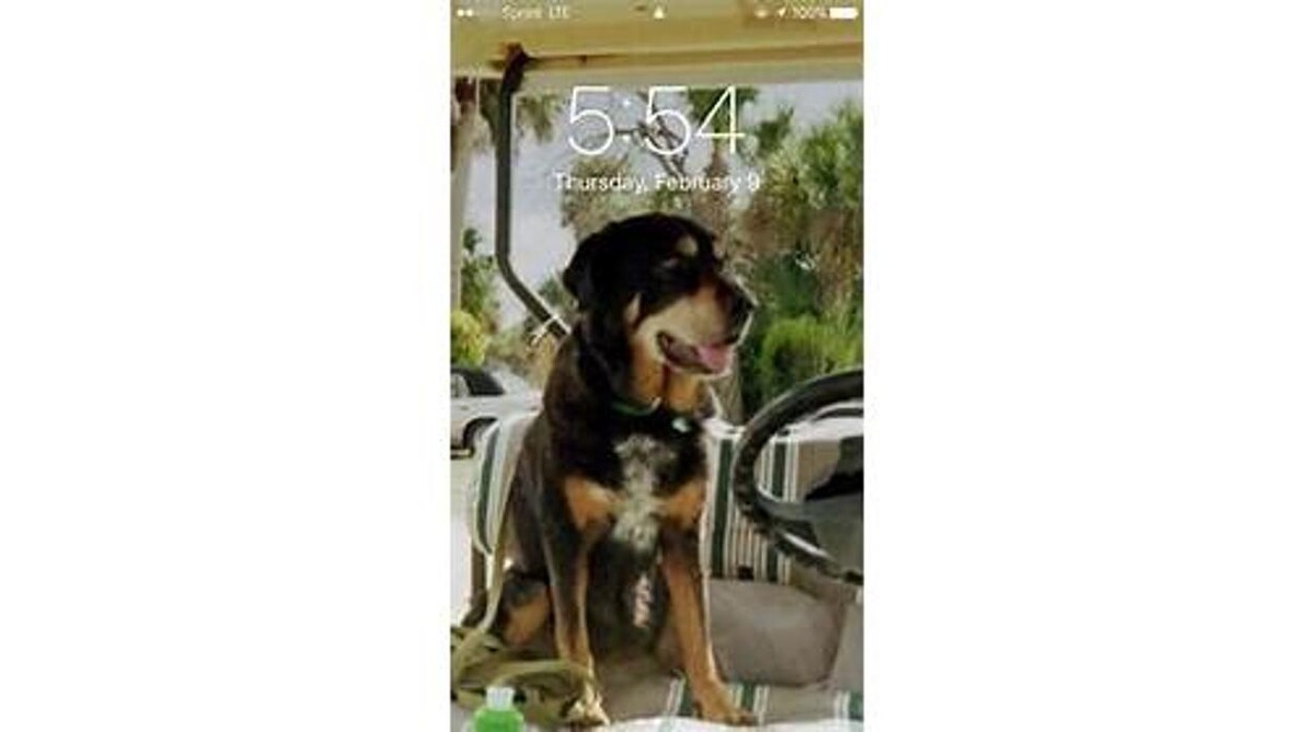 Images Sabin Marketing and Promotions