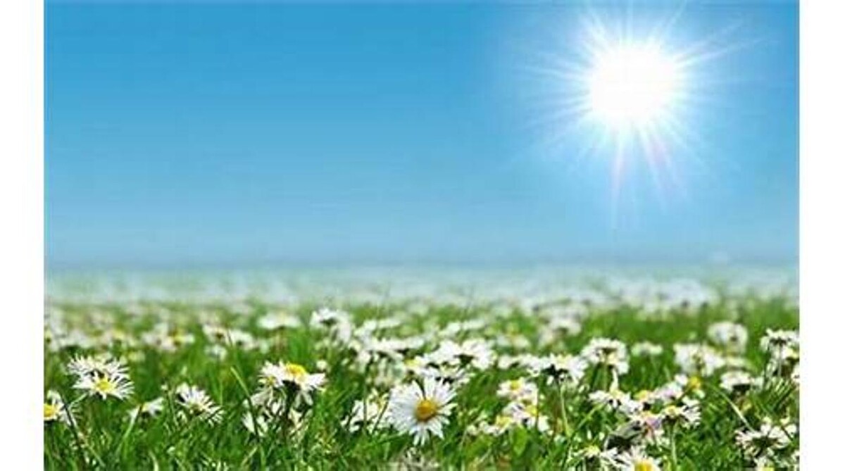 Images Sabin Marketing and Promotions