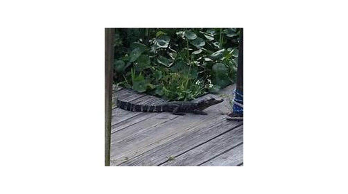 Images Sabin Marketing and Promotions