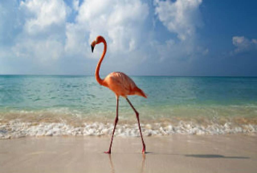 Images Sabin Marketing and Promotions