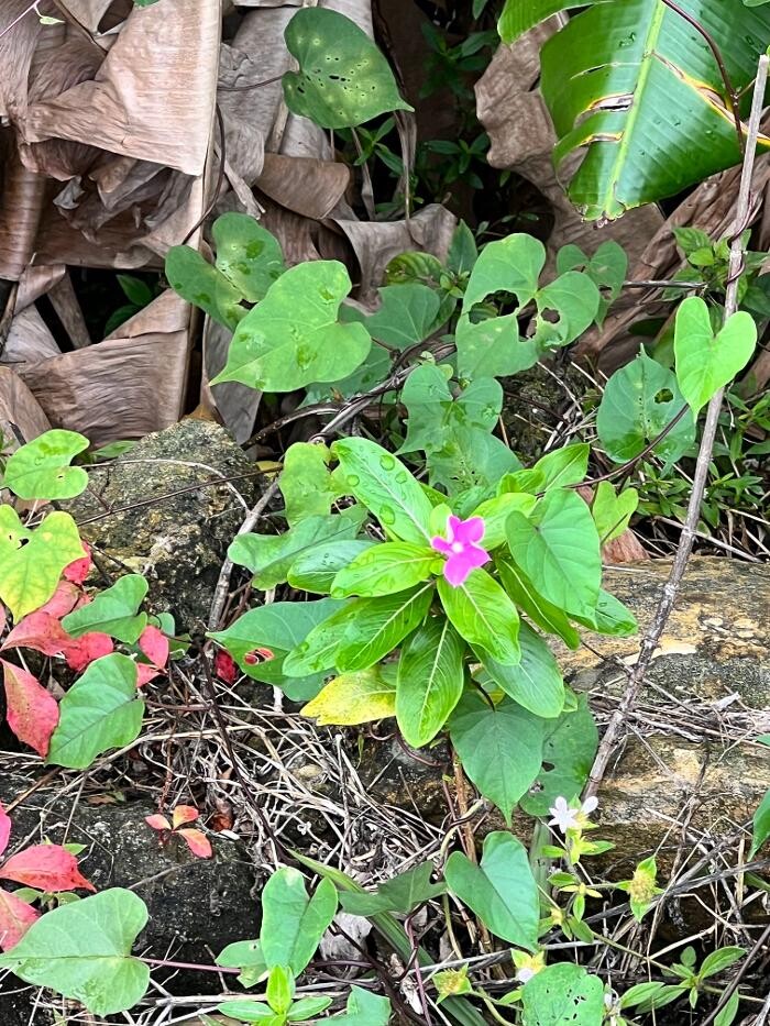 Images Sabin Marketing and Promotions