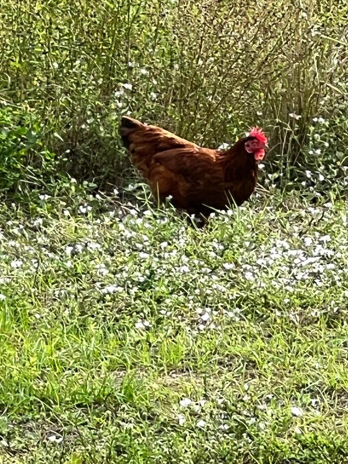 Images Sabin Marketing and Promotions