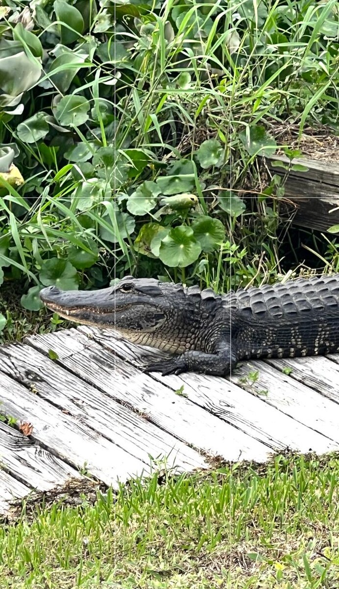 Images Sabin Marketing and Promotions