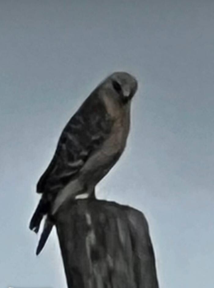 Images Sabin Marketing and Promotions