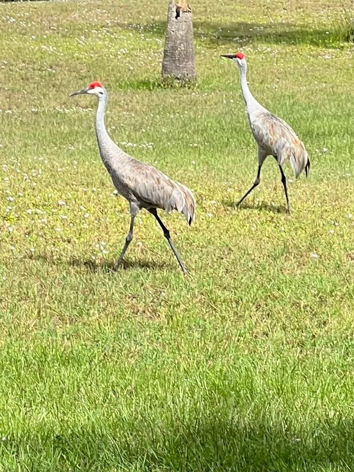 Images Sabin Marketing and Promotions