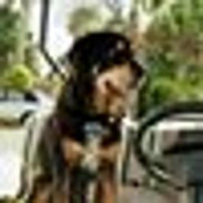 Images Sabin Marketing and Promotions