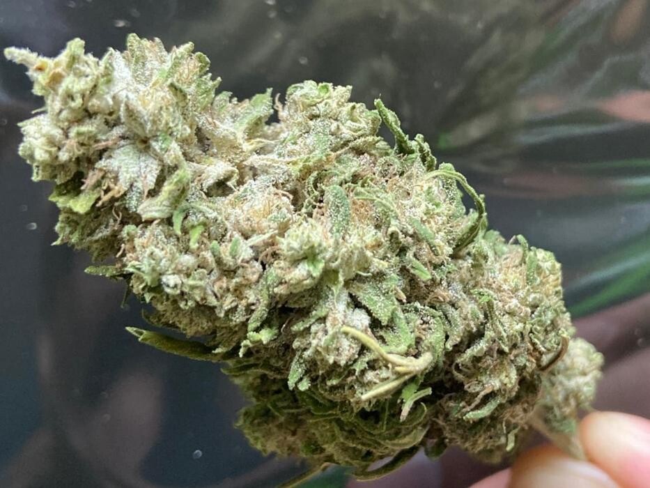 Images DFW CBD & WELLNESS