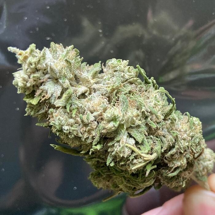 Images DFW CBD & WELLNESS