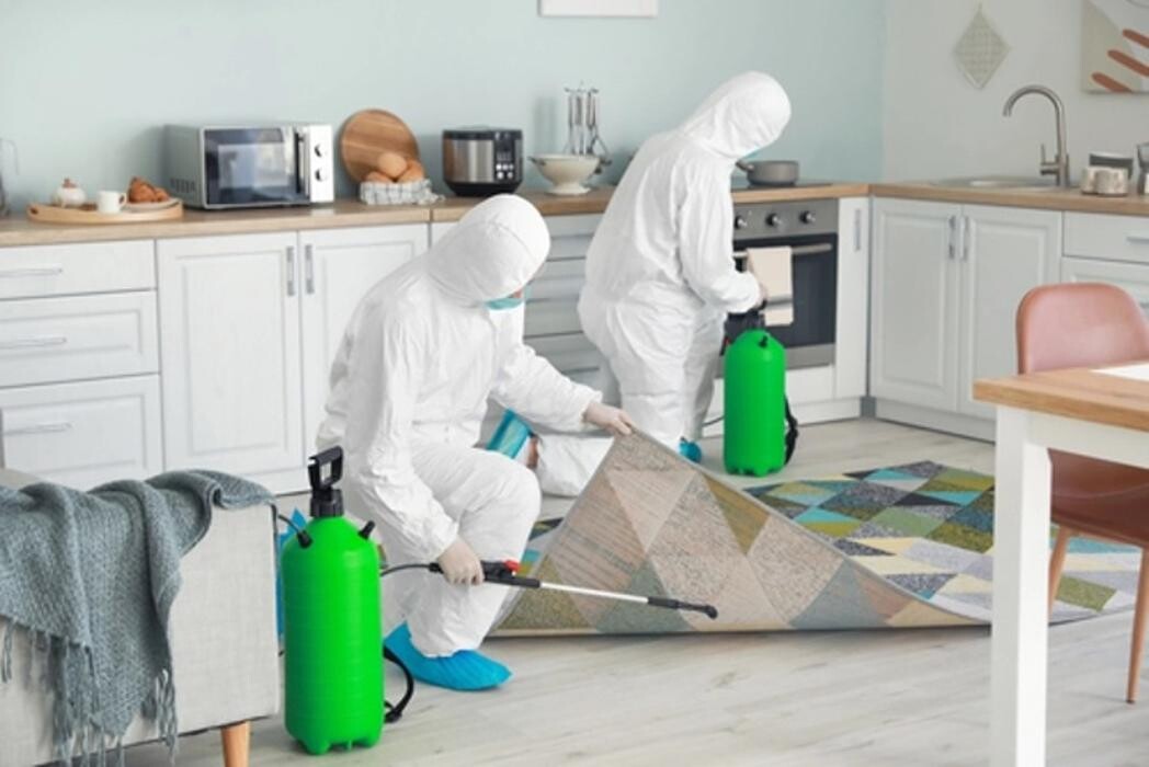 Images SERVPRO of Denton