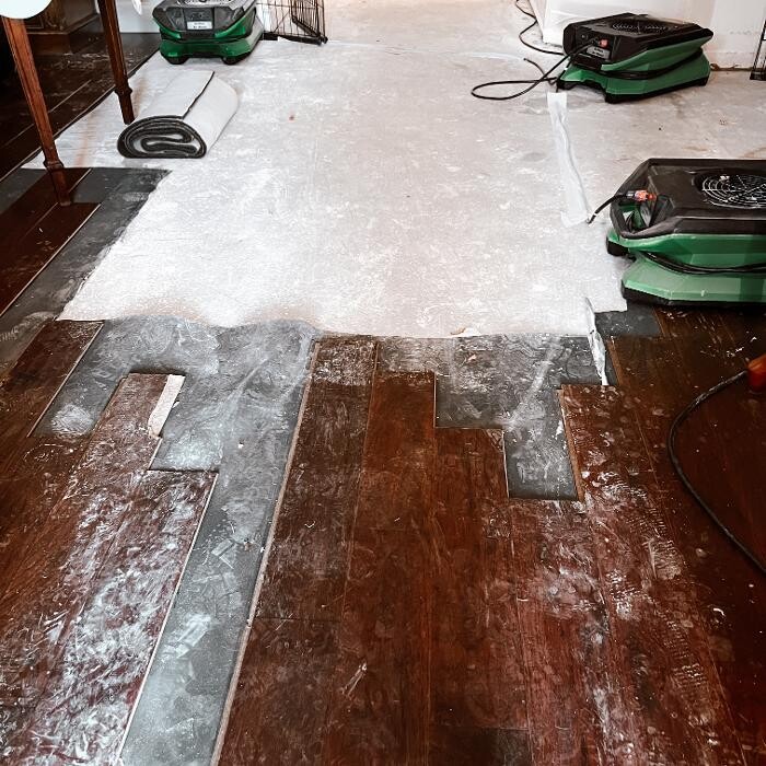 Images SERVPRO of Denton