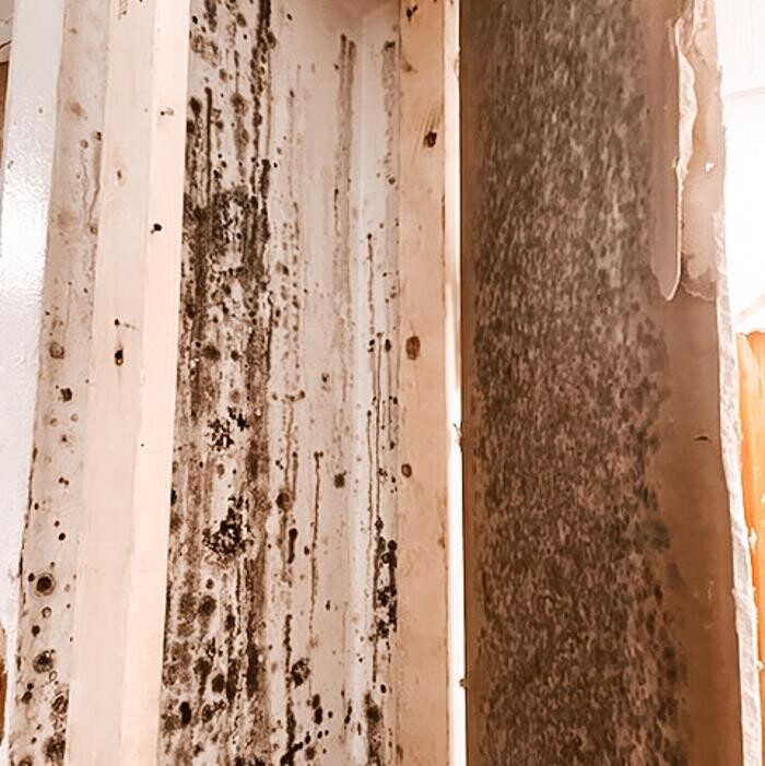 Images SERVPRO of Denton