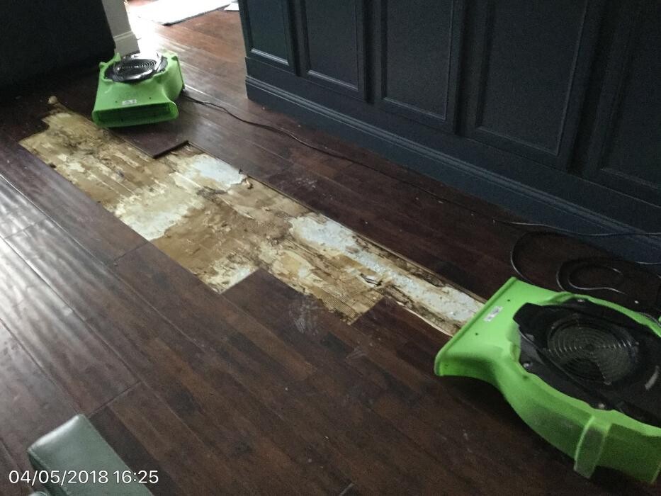 Images SERVPRO of Denton