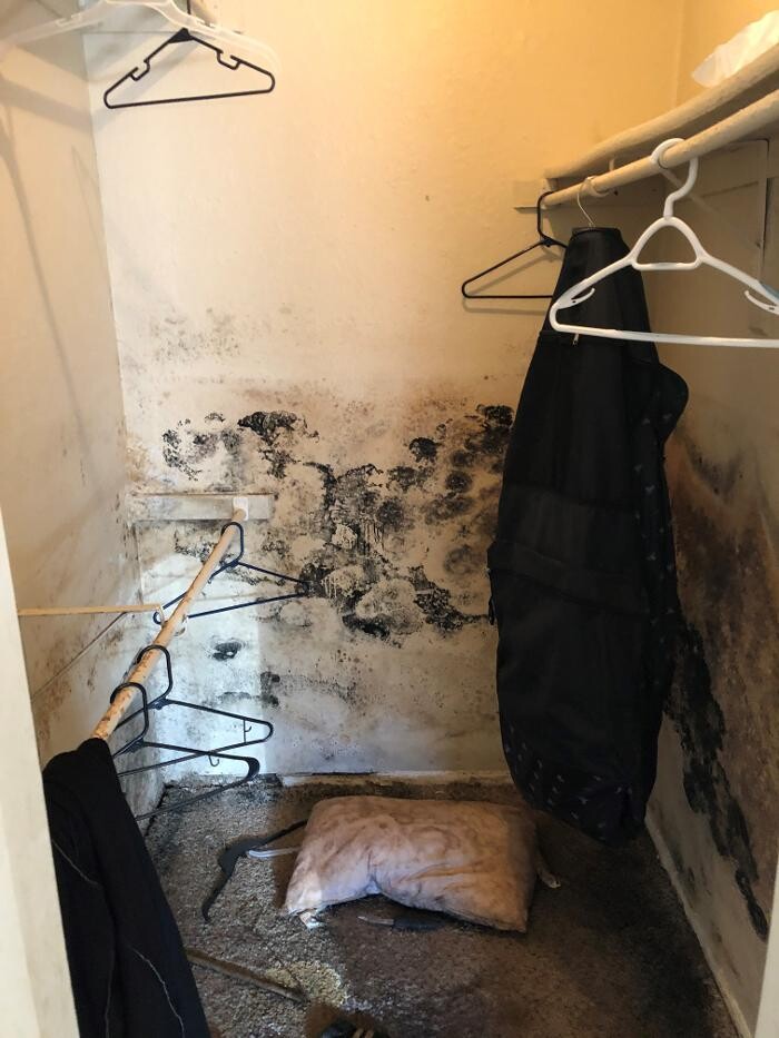 Images SERVPRO of Denton