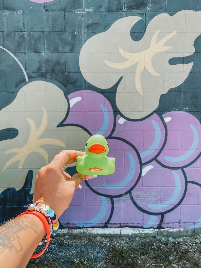 Images SERVPRO of Denton