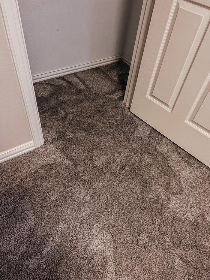 Images SERVPRO of Denton